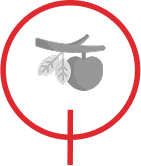 Low Hanging PPC Optimisation