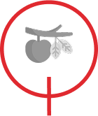 Low Hanging Fruit Optimisation