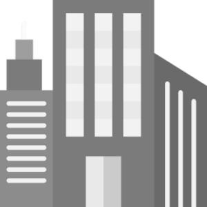 SEO for large and complex websites